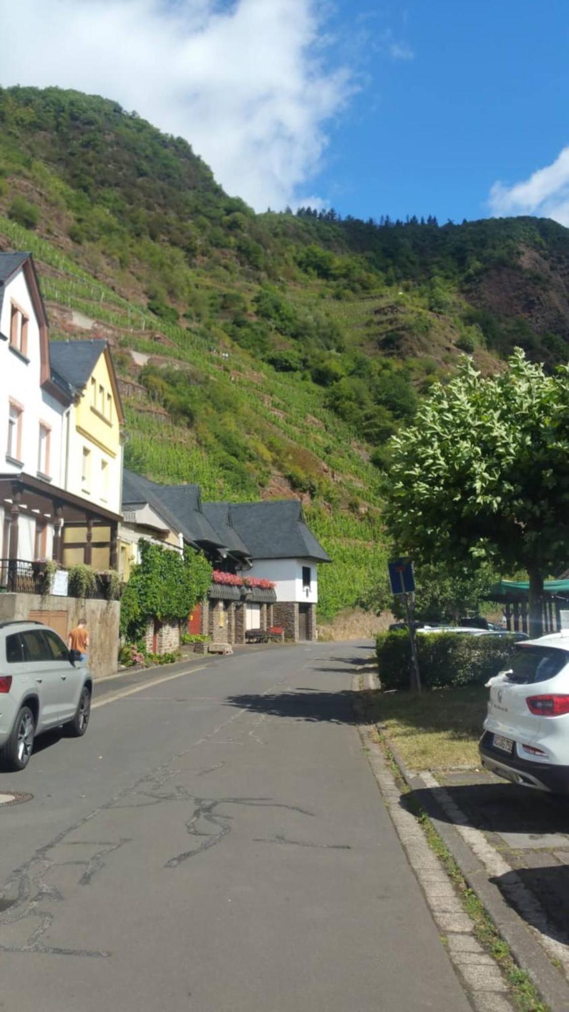 Ferienwohnung Haus Moselschleife Bremm Exterior foto