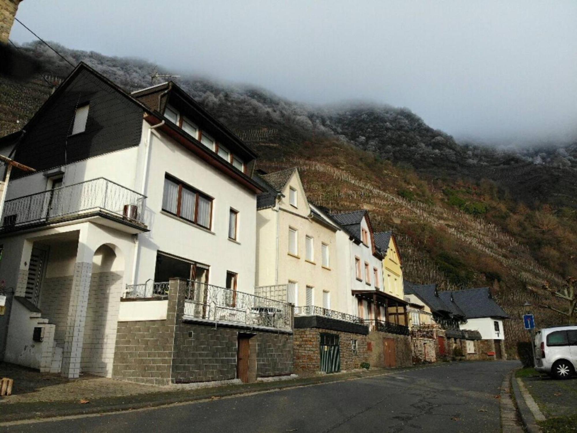 Ferienwohnung Haus Moselschleife Bremm Exterior foto